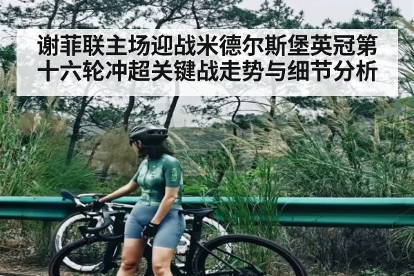谢菲联主场迎战米德尔斯堡英冠第十六轮冲超关键战走势与细节分析
