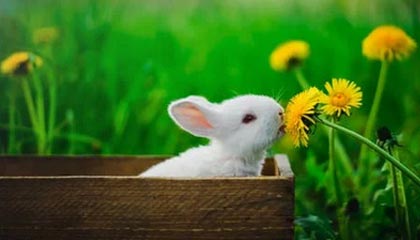 开云体育-风波已过正式向前看 憾负无碍哈登展现巨星本色